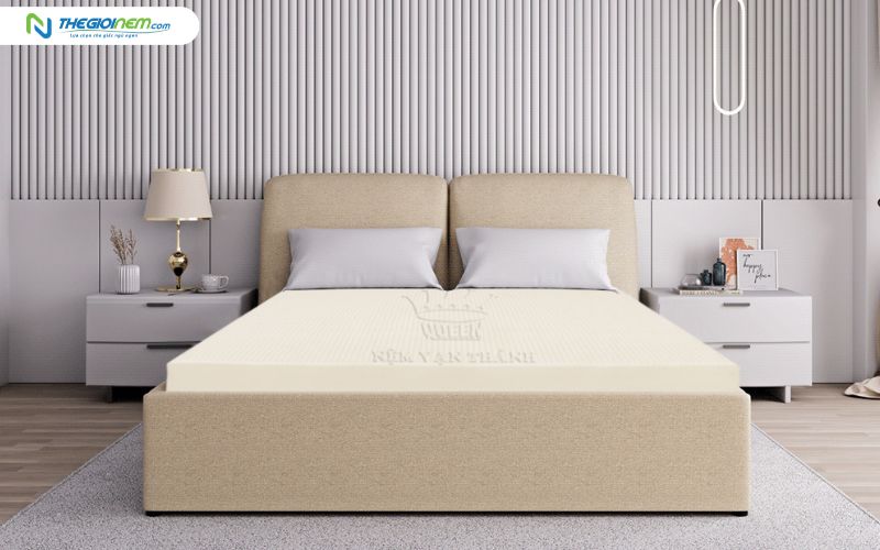 Nệm cao su Vạn Thành Standard 